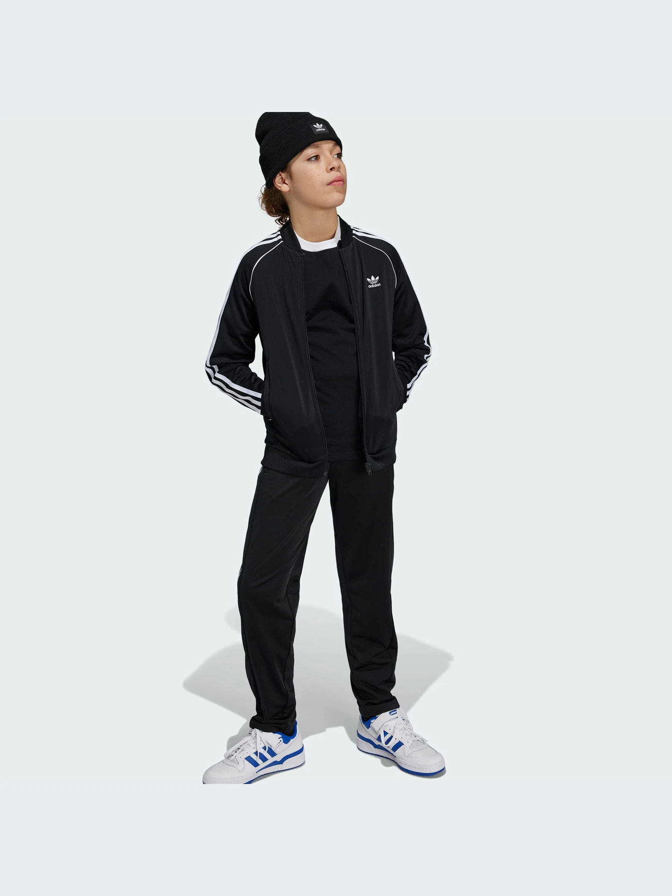 Худи и свитшоты Adidas Adicolor модель IX7628-KZ Худи и свитшоты Adidas Adicolor модель IX7628-KZ Фото