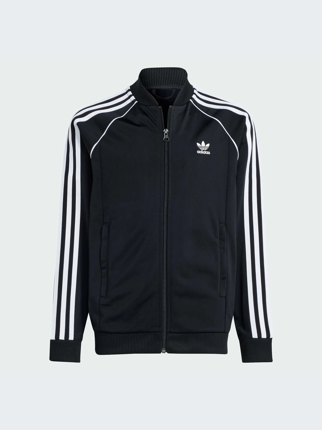 Худи и свитшоты Adidas Adicolor модель IX7628-KZ Худи и свитшоты Adidas Adicolor модель IX7628-KZ Фото