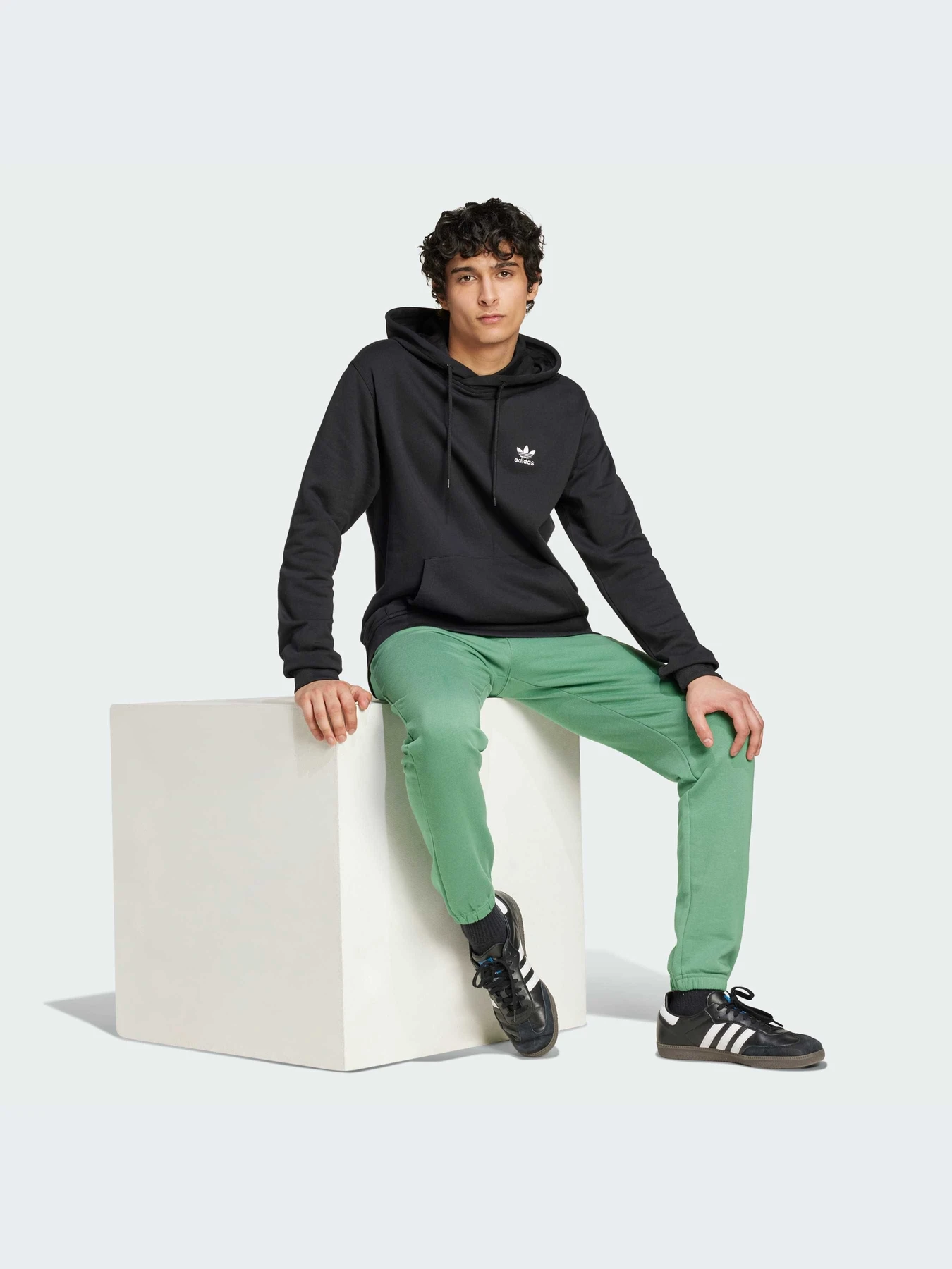 Худи и свитшоты Adidas модель IW5789-KZ Худи и свитшоты Adidas модель IW5789-KZ Фото
