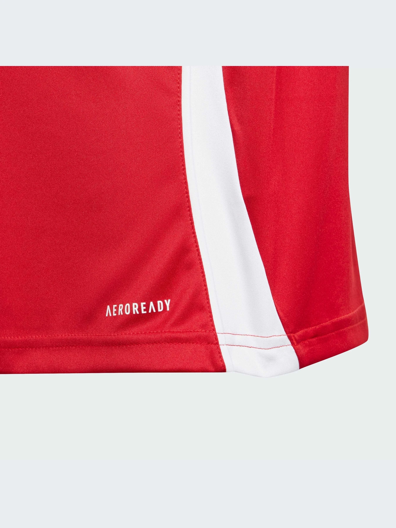 Футболки и поло Adidas Tiro модель IS1030-KZ Футболки и поло Adidas Tiro модель IS1030-KZ Фото