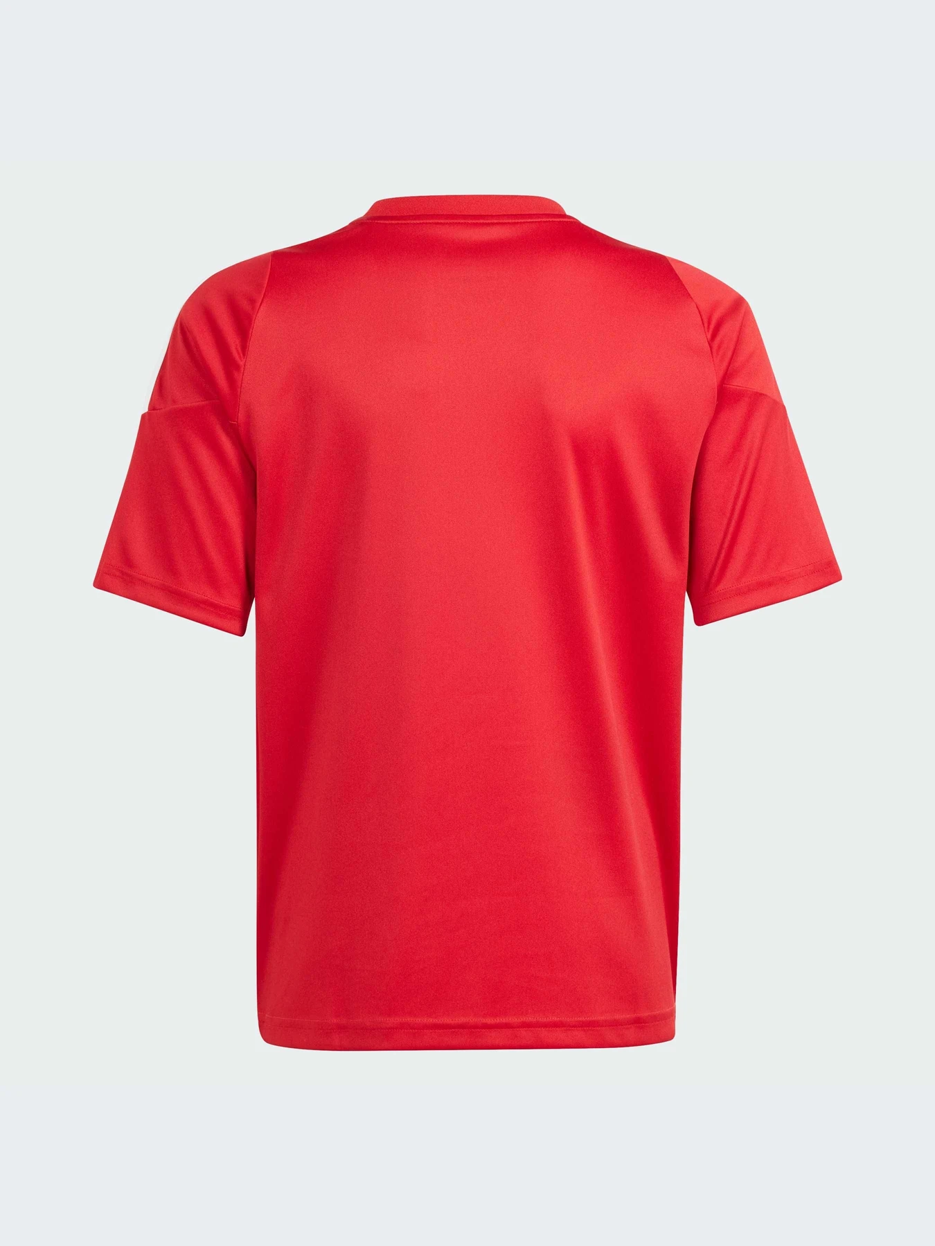Футболки и поло Adidas Tiro модель IS1030-KZ Футболки и поло Adidas Tiro модель IS1030-KZ Фото
