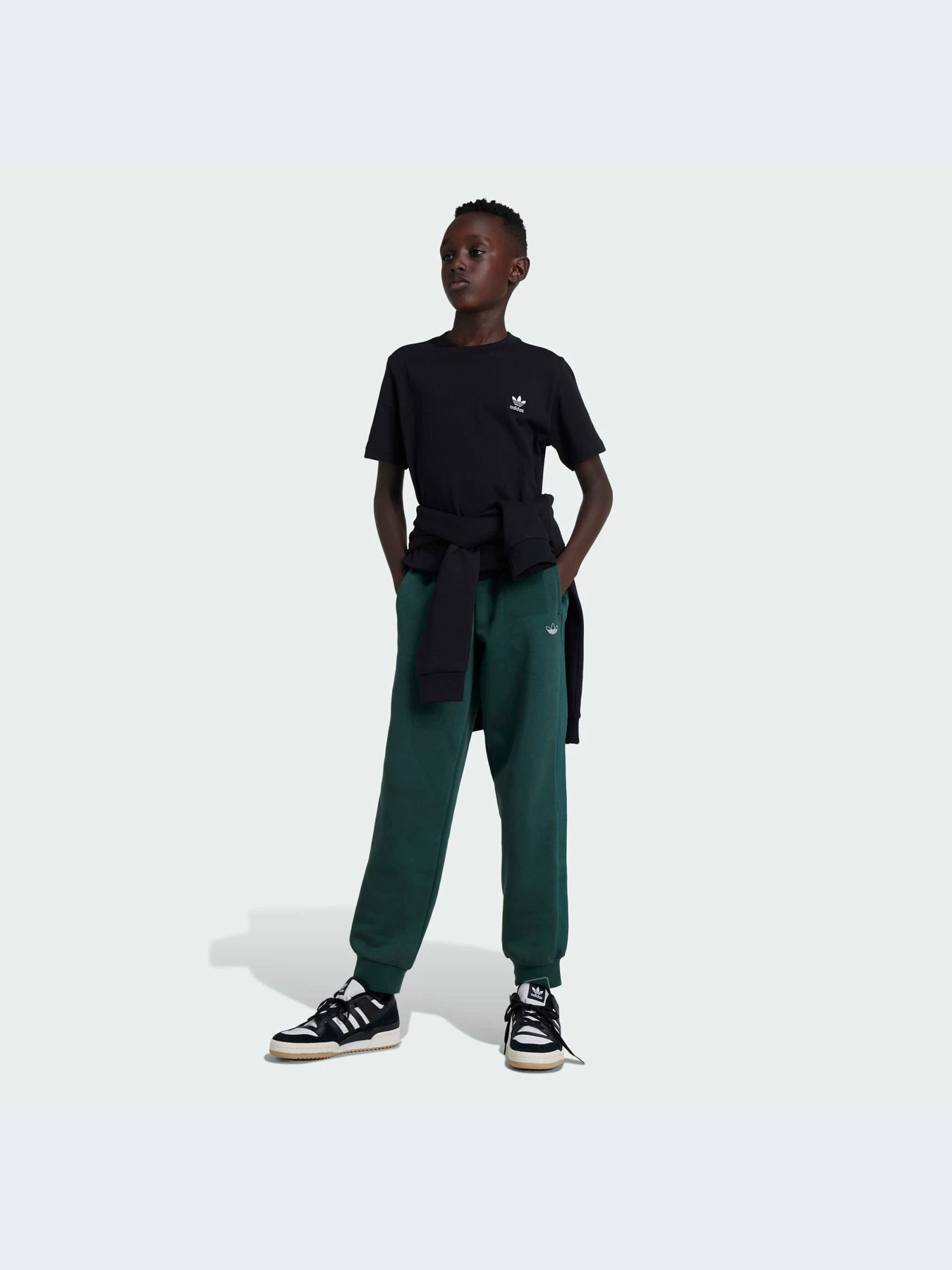 Футболки и поло Adidas Культовые силуэты модель IW3495-KZ Фото