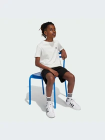 Футболки и поло Adidas Культовые силуэты модель IX5266-KZ Фото