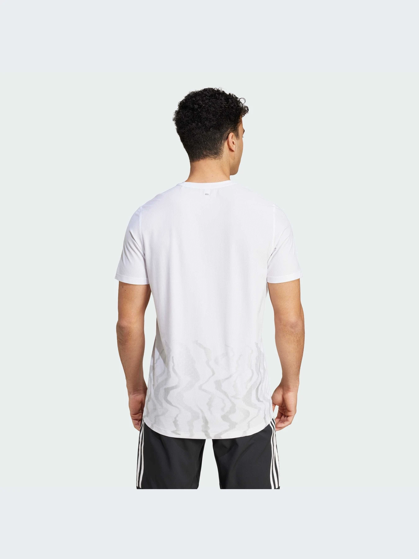Футболки и поло Adidas модель IY3267-KZ Футболки и поло Adidas модель IY3267-KZ Фото