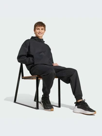 Брюки Adidas ZNE модель JD9599-KZ Фото
