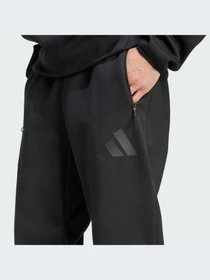Брюки Adidas ZNE модель JD9599-KZ Фото