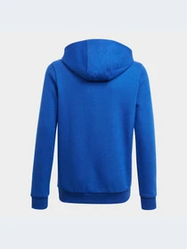 Худи и свитшоты Adidas модель GN4028-KZ Фото