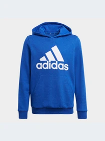 Худи и свитшоты Adidas модель GN4028-KZ Фото
