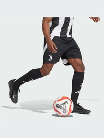Шорты Adidas модель IS8003-KZ Фото