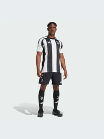 Шорты Adidas модель IS8003-KZ Фото