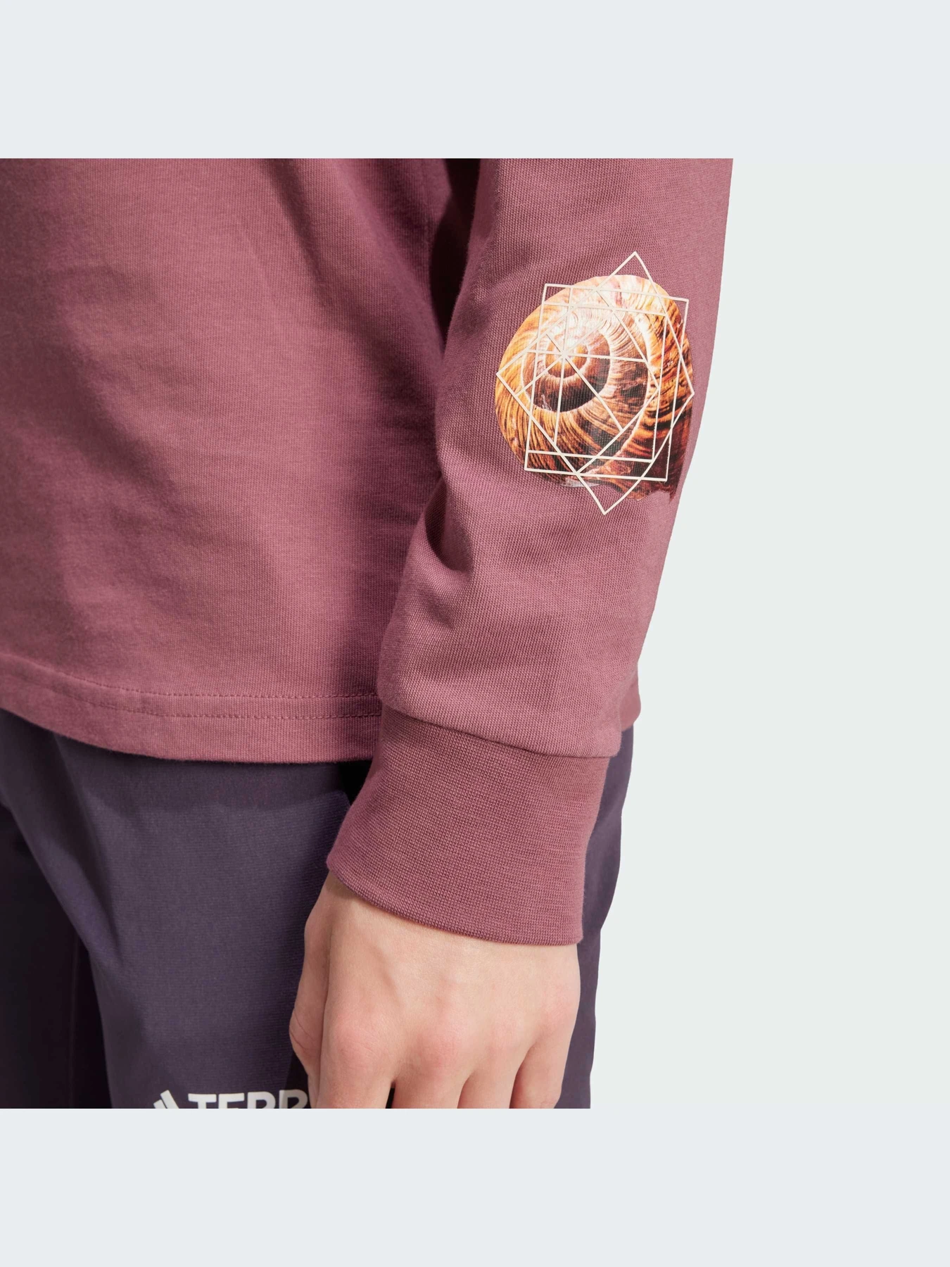 Худи и свитшоты Adidas модель IW2720-KZ Худи и свитшоты Adidas модель IW2720-KZ Фото