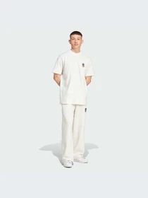 Брюки Adidas Graphics модель IX6765-KZ Фото