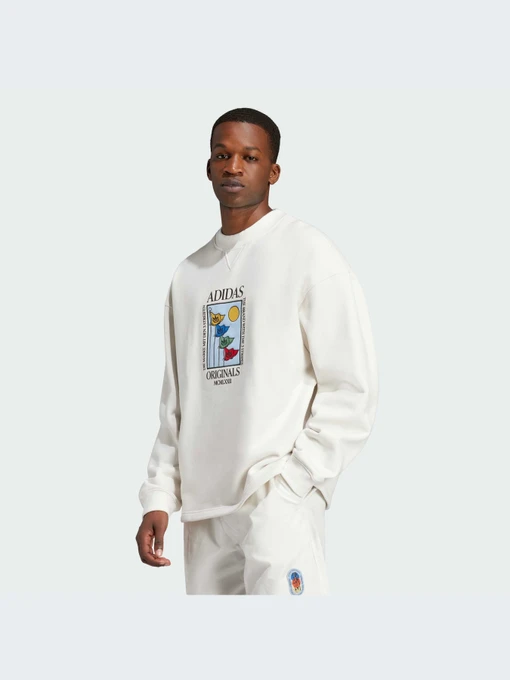 Худи и свитшоты Adidas Graphics модель IX6745-KZ Фото