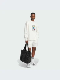 Худи и свитшоты Adidas Graphics модель IX6745-KZ Фото