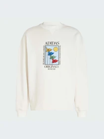 Худи и свитшоты Adidas Graphics модель IX6745-KZ Фото