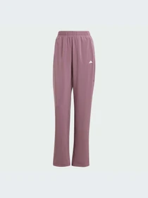 Брюки Adidas модель IT0676-KZ Фото