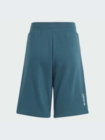 Шорты Adidas Adicolor модель IJ5394-KZ Фото