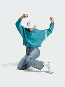 Худи и свитшоты Adidas Adicolor модель IL6664-KZ Фото