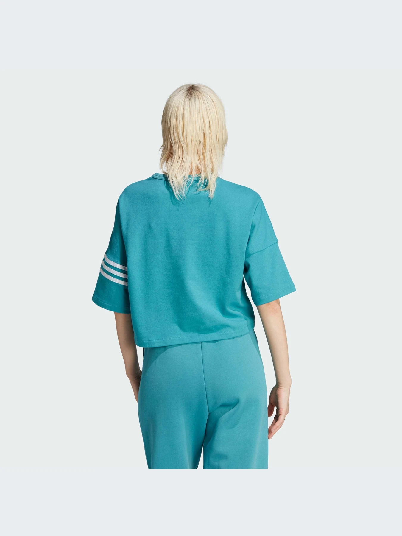 Футболки и поло Adidas Adicolor модель IM1829-KZ Футболки и поло Adidas Adicolor модель IM1829-KZ Фото