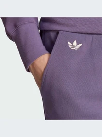 Брюки Adidas Adicolor модель IN4677-KZ Фото