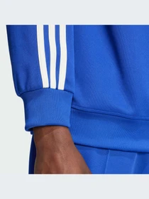 Худи и свитшоты Adidas Adicolor модель IX5216-KZ Фото