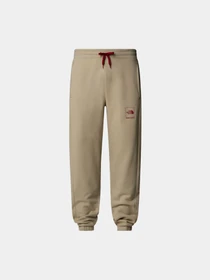 Брюки The North Face модель NF0A89DB1I41 Фото