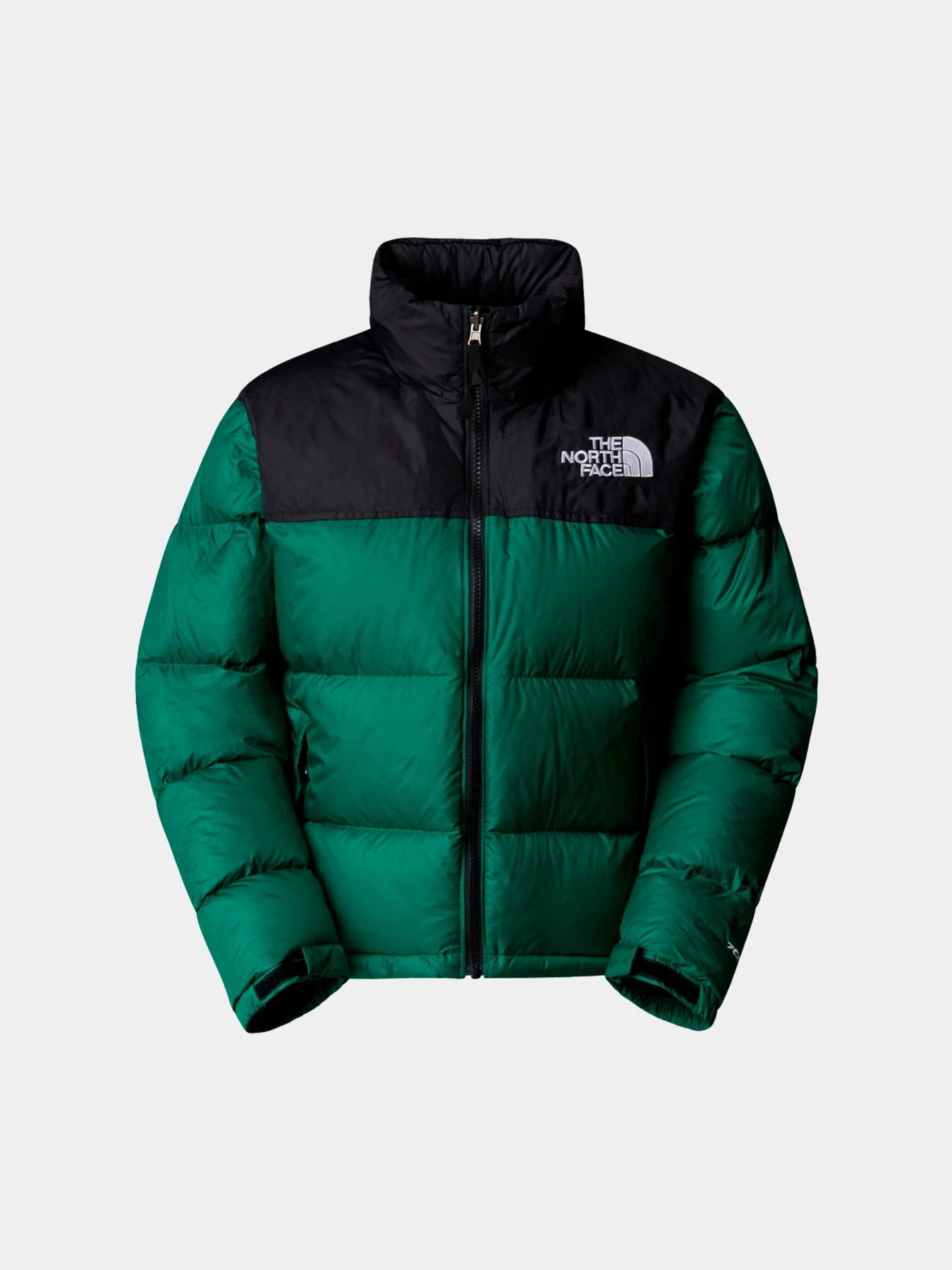 Куртки и дубленки The North Face модель NF0A3XEONL11 Куртки и дубленки The North Face модель NF0A3XEONL11 Фото