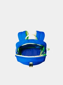 Рюкзаки The North Face модель NF0A52VX0O11 Фото