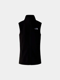Худи и свитшоты The North Face модель NF0A7R2S4H01 Фото