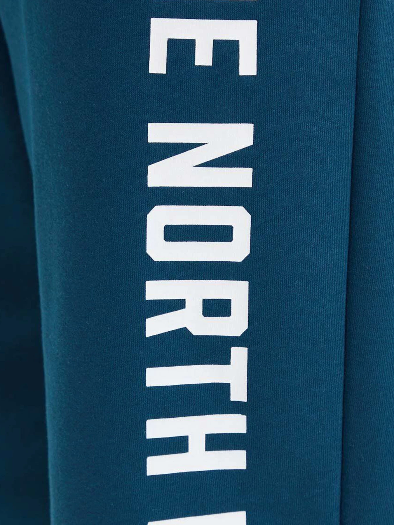 Брюки The North Face модель NF0A89DP1NO1 Фото