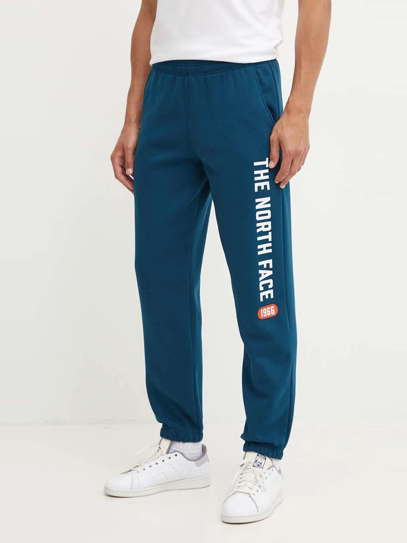 Брюки The North Face модель NF0A89DP1NO1 Фото
