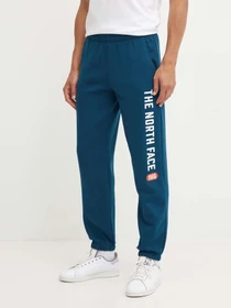 Брюки The North Face модель NF0A89DP1NO1 Фото