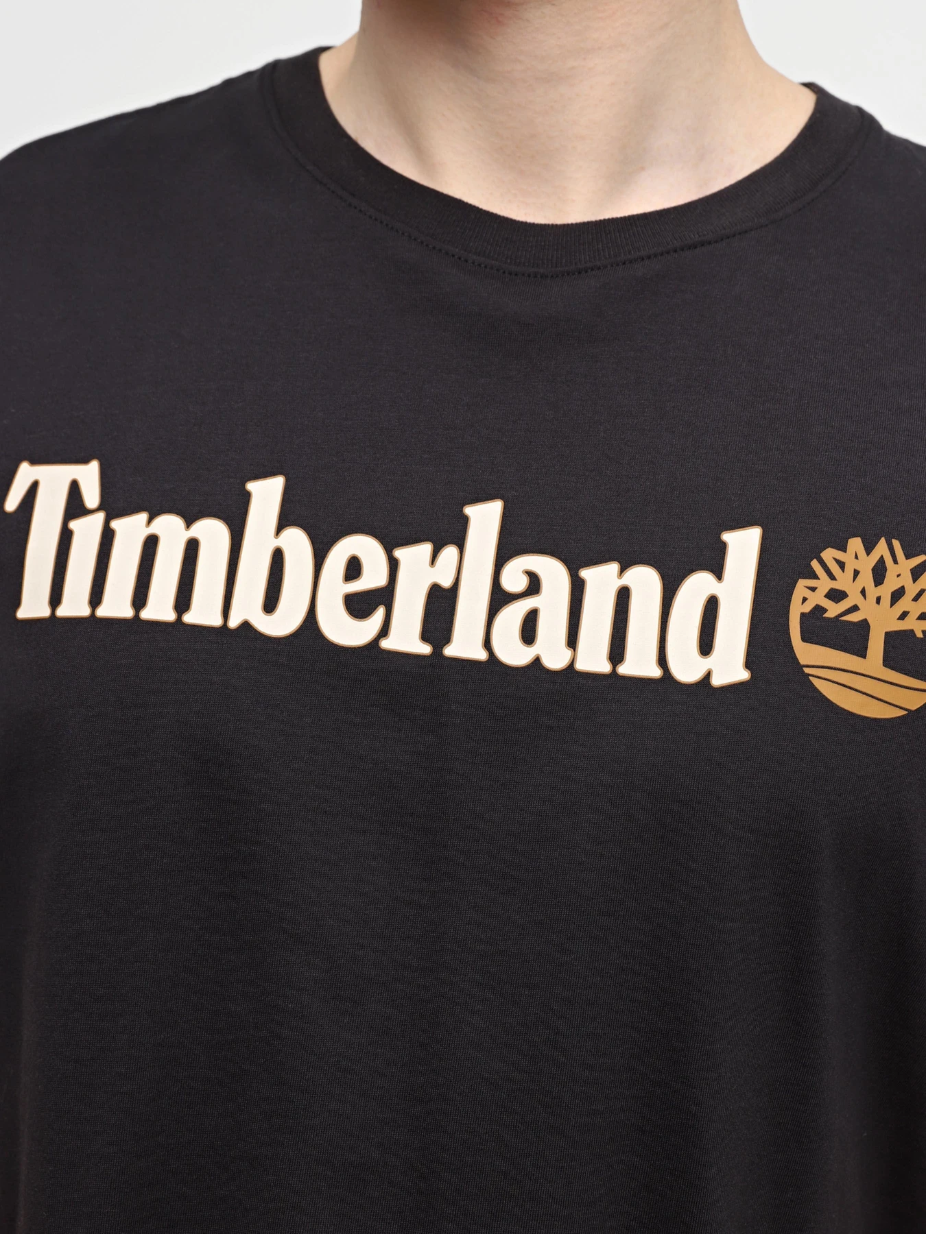 Футболки и поло Timberland модель TB0A5UPQ001 Футболки и поло Timberland модель TB0A5UPQ001 Фото