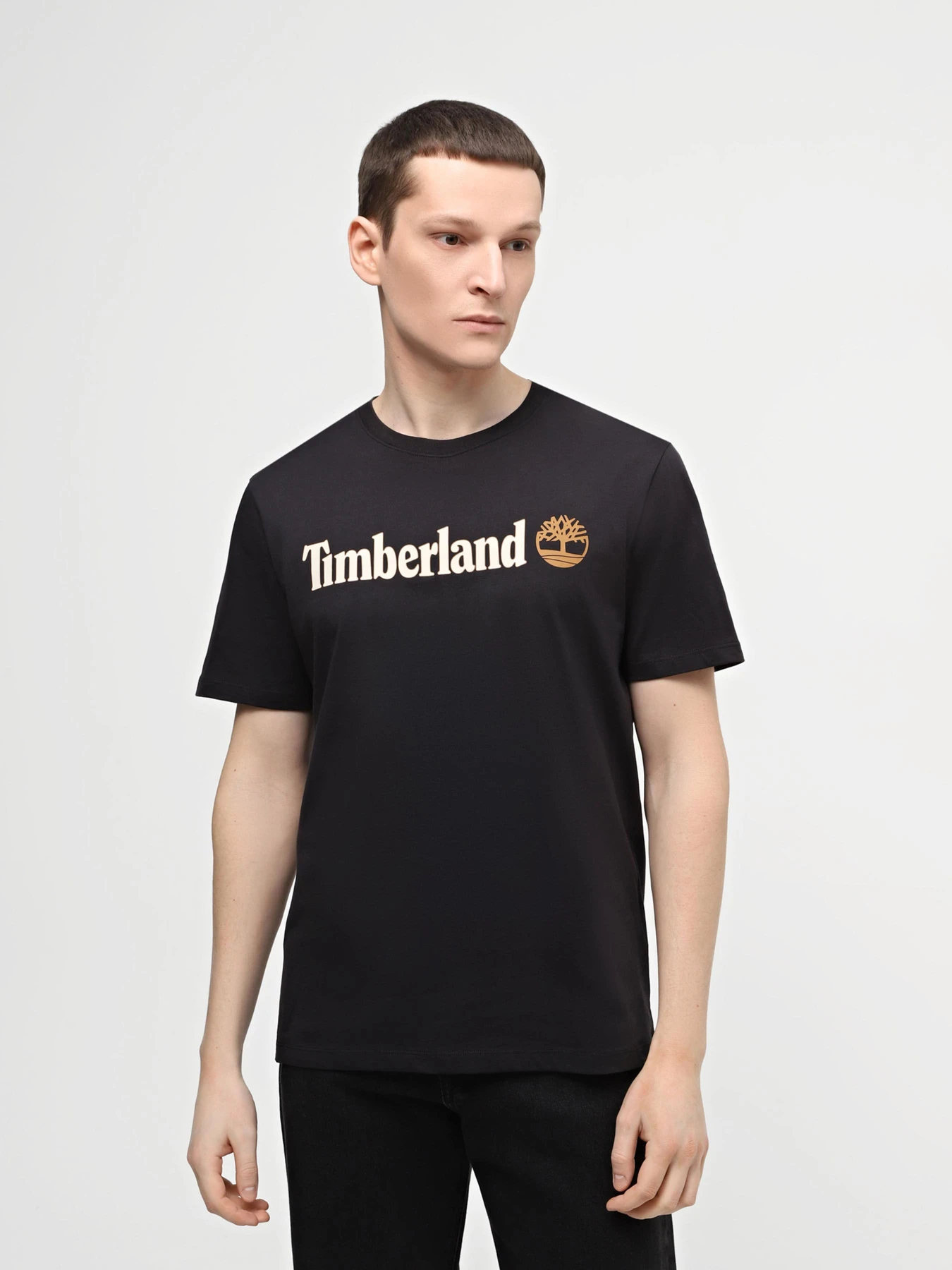Футболки и поло Timberland модель TB0A5UPQ001 Футболки и поло Timberland модель TB0A5UPQ001 Фото
