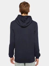 Худи и свитшоты Jack Wolfskin модель 1000003TR Фото