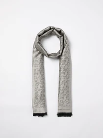Шарфы и платки Armani Exchange модель 944300-4F150-14349 Фото