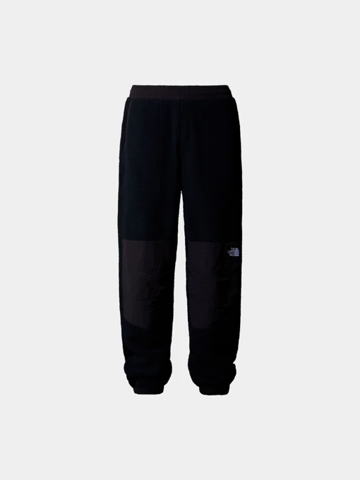 Брюки The North Face модель NF0A88XKJK31 Фото