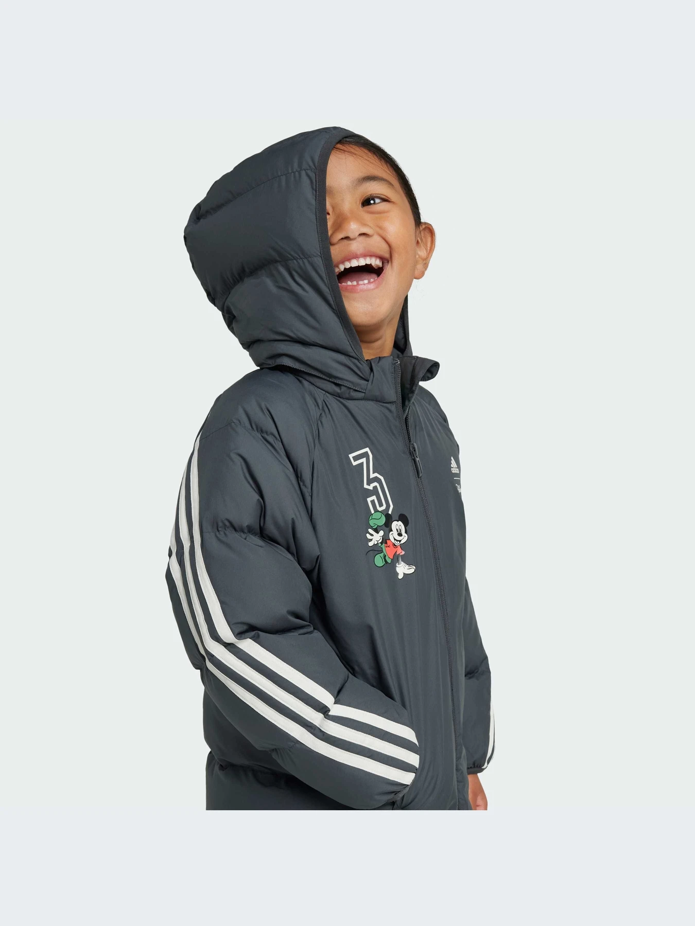 Куртки и дубленки Adidas модель IV9653-KZ Куртки и дубленки Adidas модель IV9653-KZ Фото