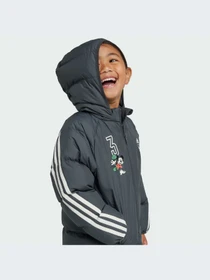 Куртки и дубленки Adidas модель IV9653-KZ Фото