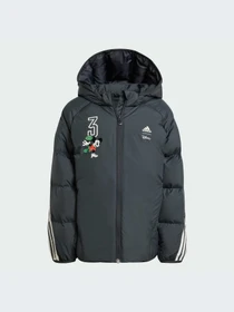 Куртки и дубленки Adidas модель IV9653-KZ Фото