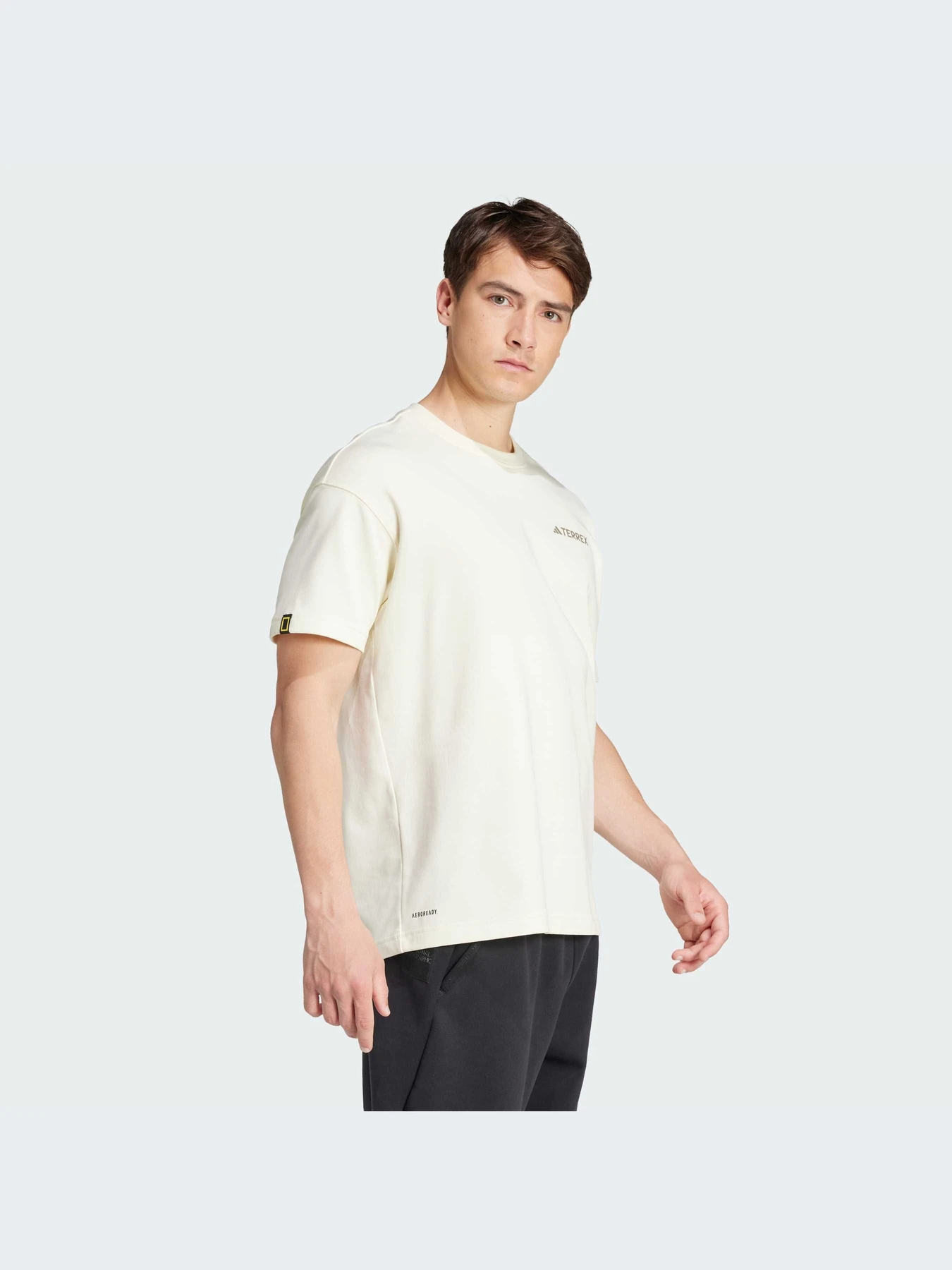 Футболки и поло Adidas модель IX5614-KZ Футболки и поло Adidas модель IX5614-KZ Фото