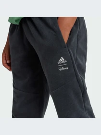 Брюки Adidas модель IV9626-KZ Фото
