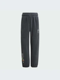 Брюки Adidas модель IV9626-KZ Фото