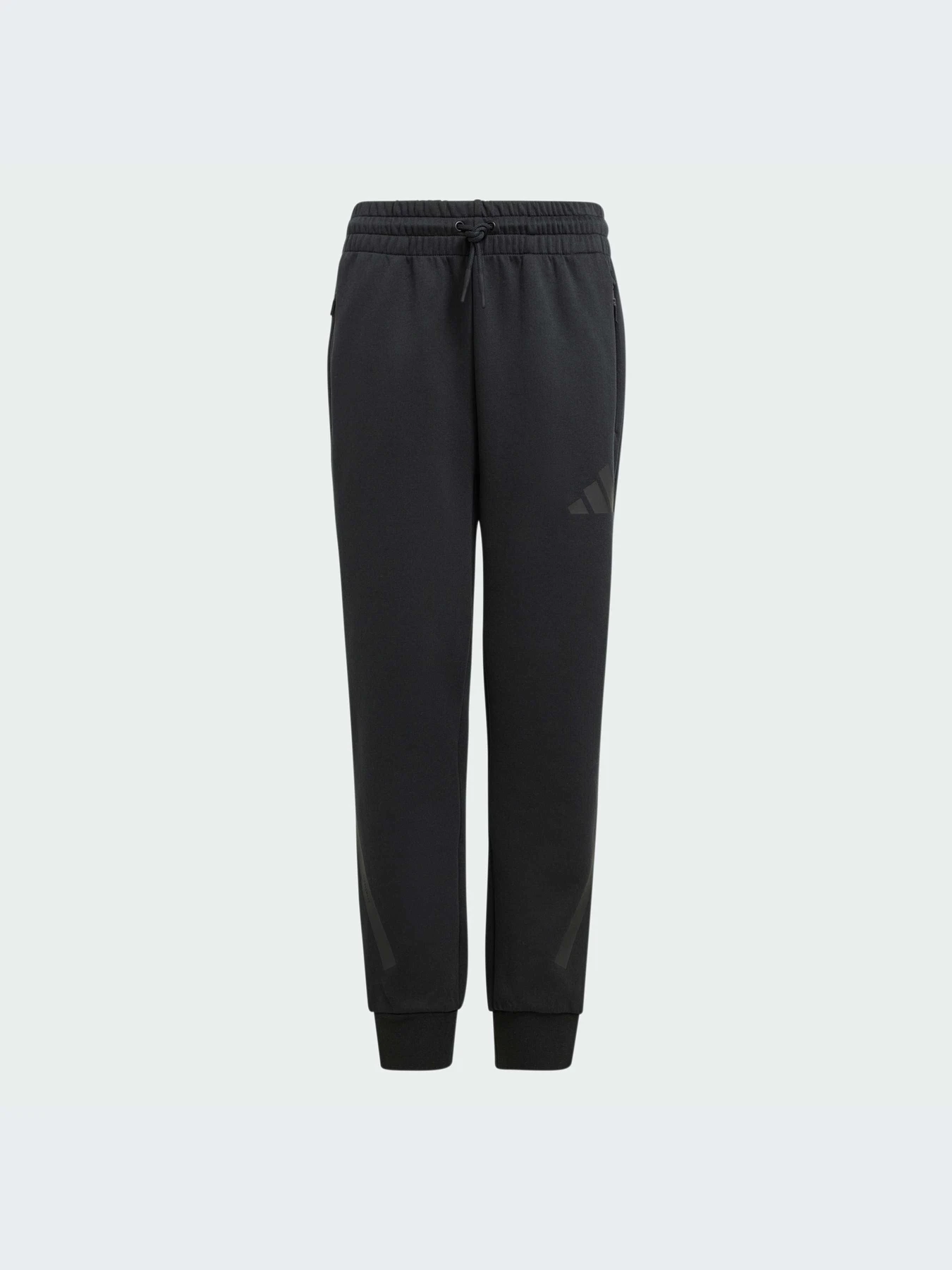 Брюки Adidas ZNE модель JF2491-KZ Брюки Adidas ZNE модель JF2491-KZ Фото