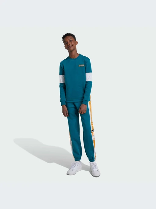 Брюки Adidas Adicolor модель IX5185-KZ Фото