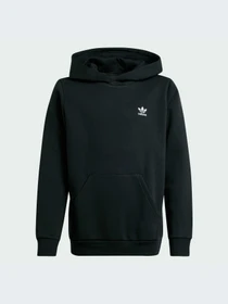 Худи и свитшоты Adidas модель IW3500-KZ Фото