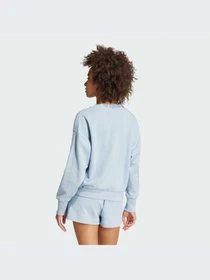 Худи и свитшоты Adidas модель IY6852-KZ Фото