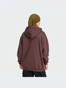 Худи и свитшоты Adidas модель IY2435-KZ Фото
