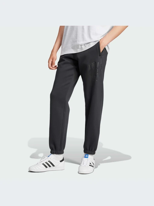 Брюки Adidas Graphics модель IZ2565-KZ Фото