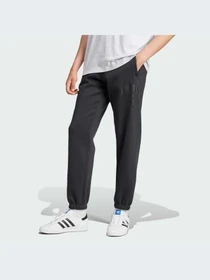 Брюки Adidas Graphics модель IZ2565-KZ Фото